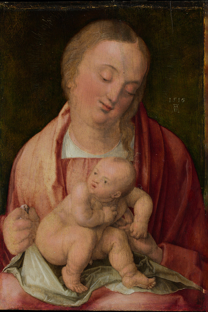 Virgin and Child by Albrecht Durer