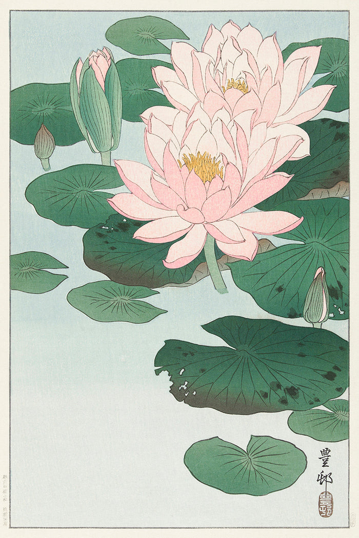 Water Lily by Ohara Koson