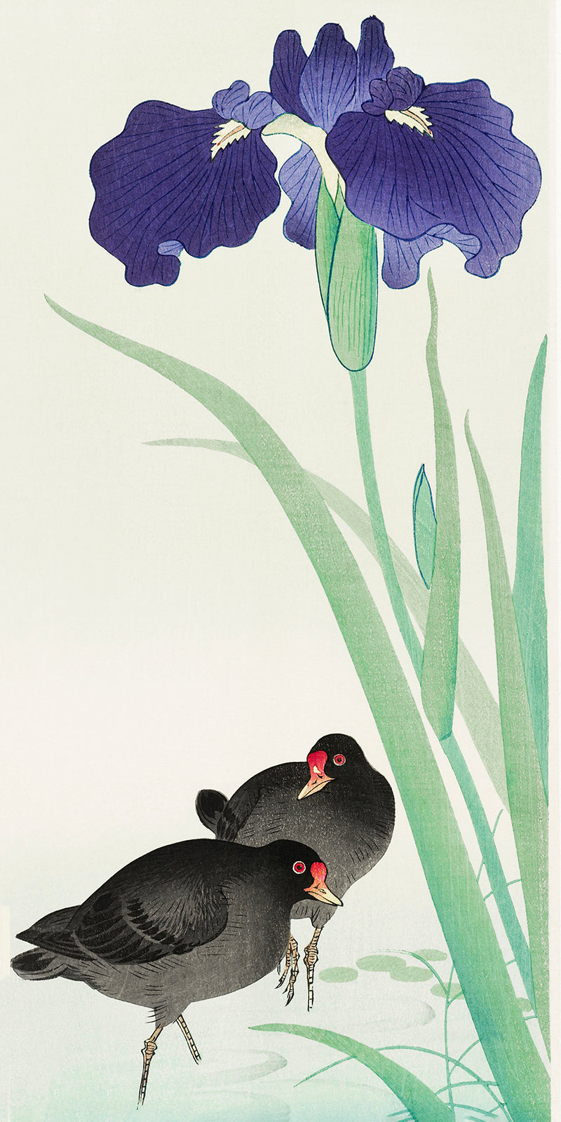 Waterhoots and iris by Ohara Koson