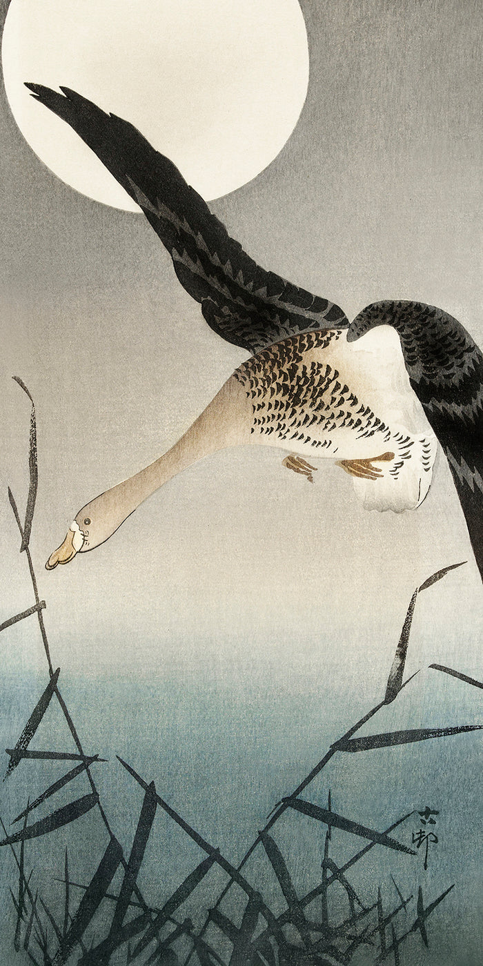 White-fronted goose at full moon by Ohara Koson