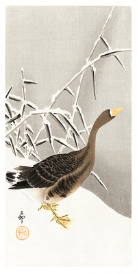 White-fronted goose in the snow by Ohara Koson