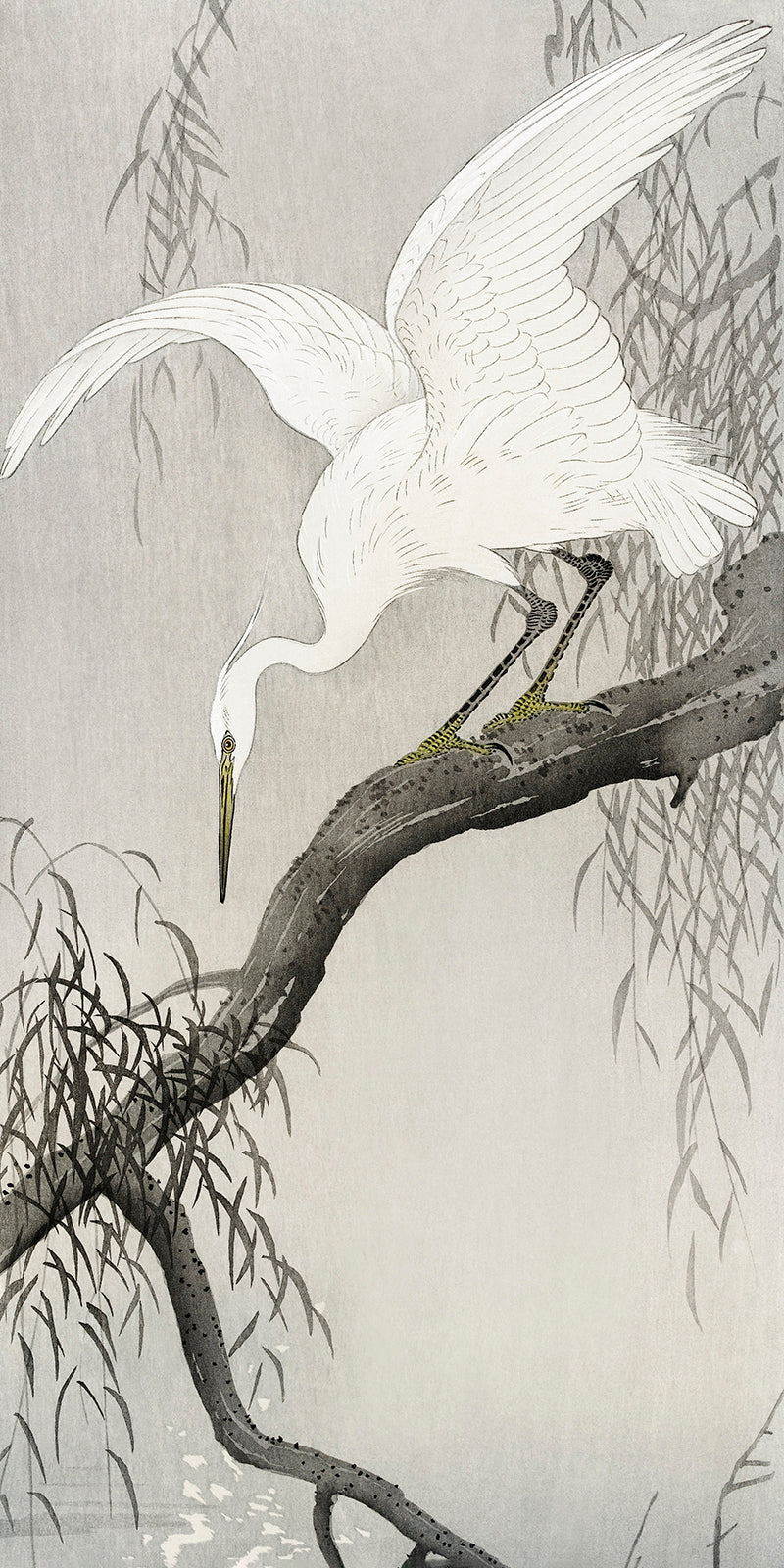 White heron on tree branch by Ohara Koson