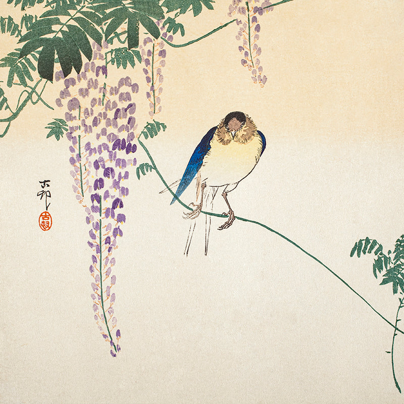 Wisteria and Swallow by Ohara Koson