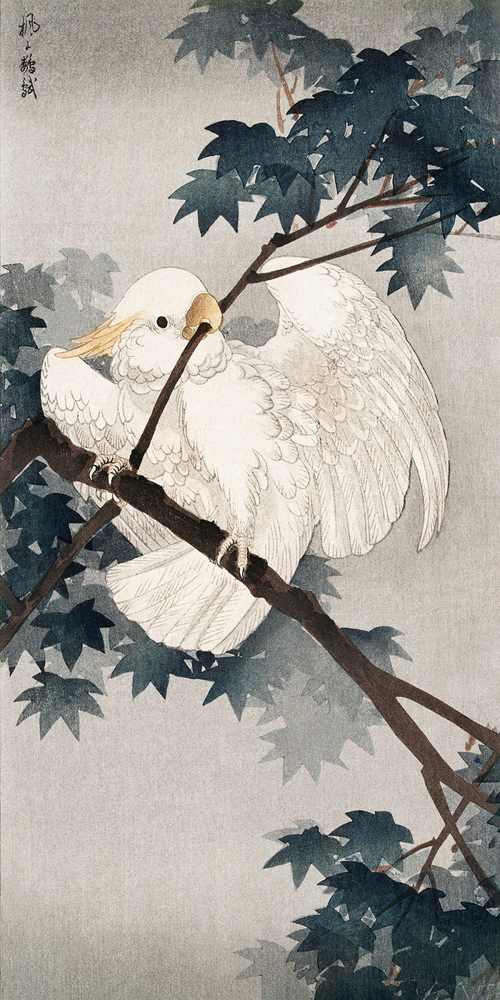 Yellow crested cockatoo in tree by Ohara Koson