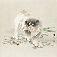 Young dog by Ohara Koson