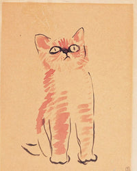 a cat by San Yu