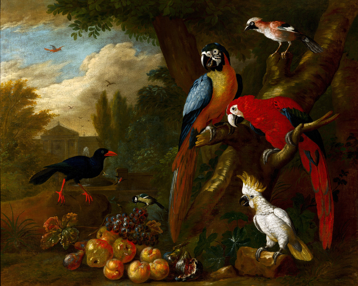 Two Macaws, a Cockatoo and a Jay, with Fruit by Jakob Bogdani