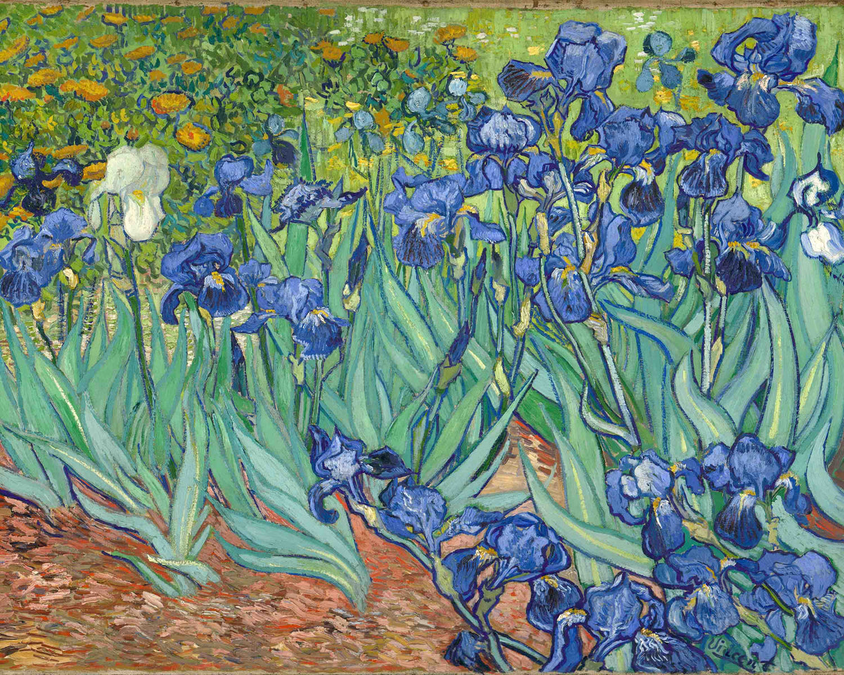 Irises by Vincent van Gogh