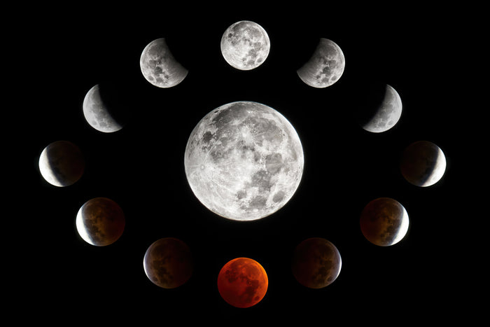 The Moon Lunar Eclipse